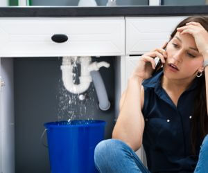About Plumbers Pros Sellers, SC